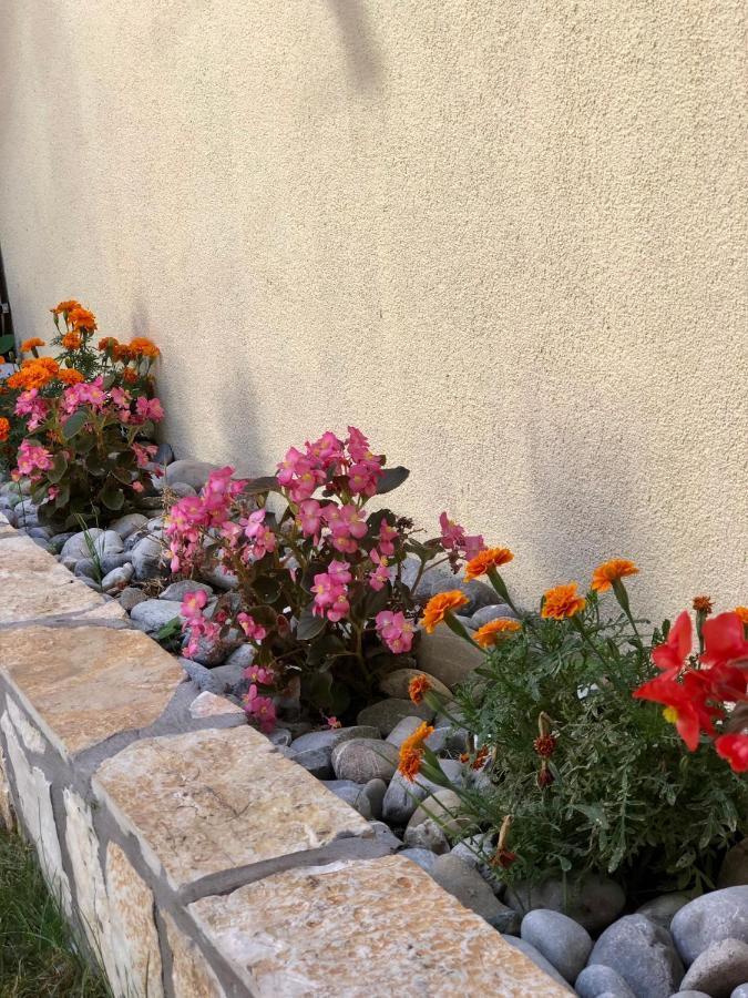 Vila Razic Danilovgrad Extérieur photo